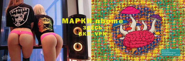стаф Нефтегорск