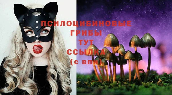 трава Нефтекумск