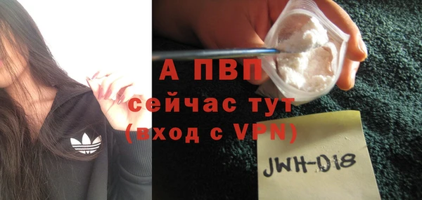 стаф Нефтегорск
