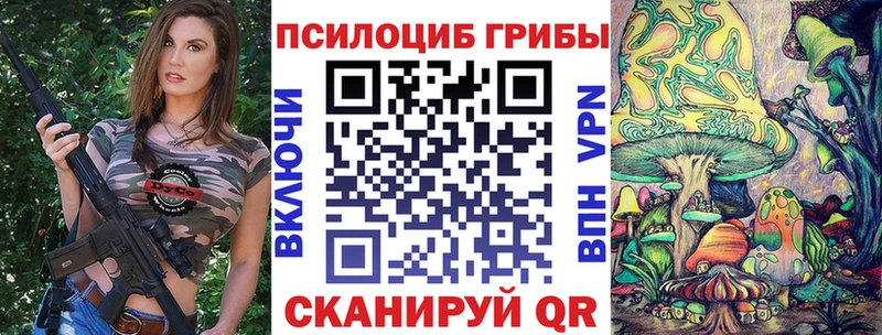 купить   ОМГ ОМГ ТОР  Псилоцибиновые грибы мухоморы  Североморск 